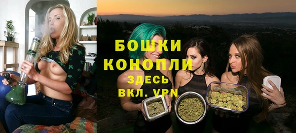 соль курить ск Заводоуковск
