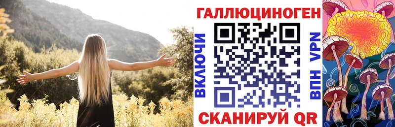 Купить где  Снежногорск  Псилоцибиновые грибы Psilocybine cubensis 
